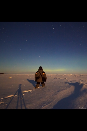 Profile picture for user ilya